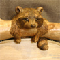 Raccoon sign woodcarving